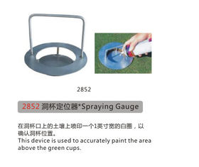 China Spraying Gauge supplier